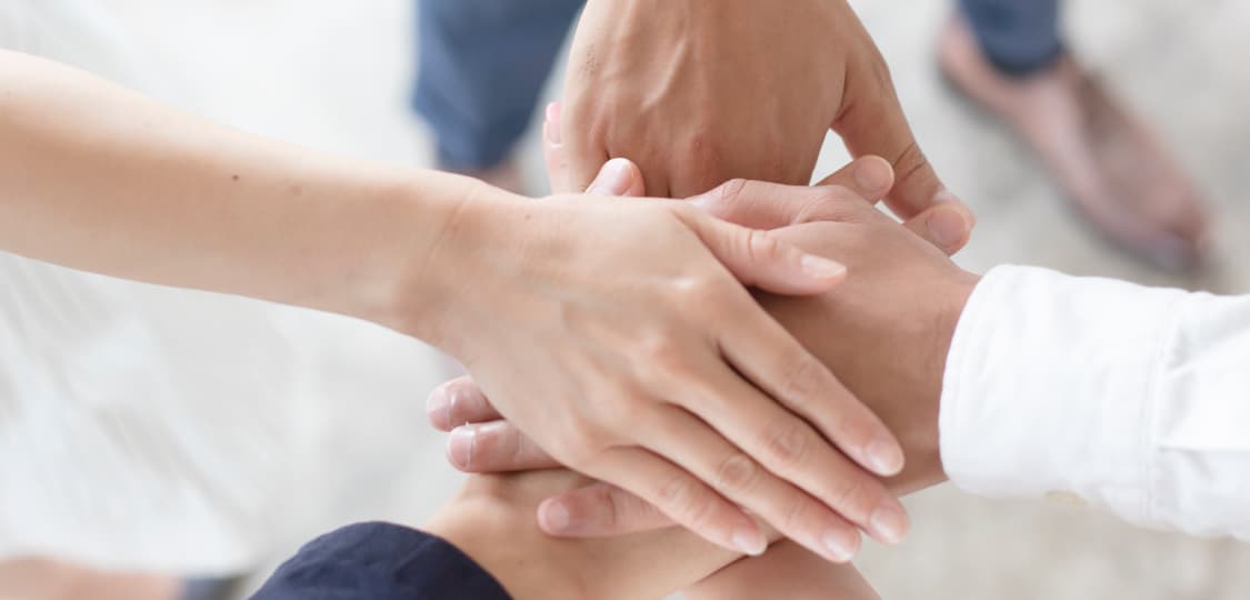 組織 / ORGANIZATION